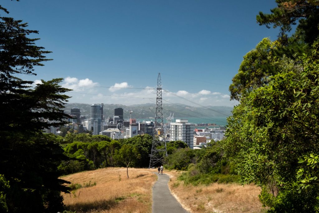 A couple walking down a footpath in the direction of Wellingtons CBD on a beautiful sunny day on the City to Sea Walkway.