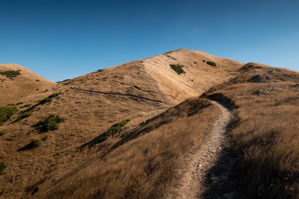 A path leading through large golden grass covered hill on the Skyline Walkway in Wellington, New Zealand.