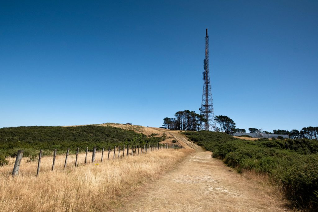 A grassed footpath running up to a large television tower on Wellingtons Northern Walkway.
