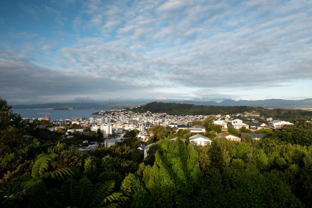 Looking down at the buildings and harbour of Wellingtons CBD whilst walking on the Polhill Reserve Loop Track.