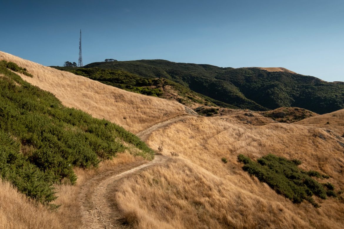 A path leading through a number of grass covered hills leading towards a large television tower that is visible in the distance on one of the best Wellington Walks, the Skyline Walkway