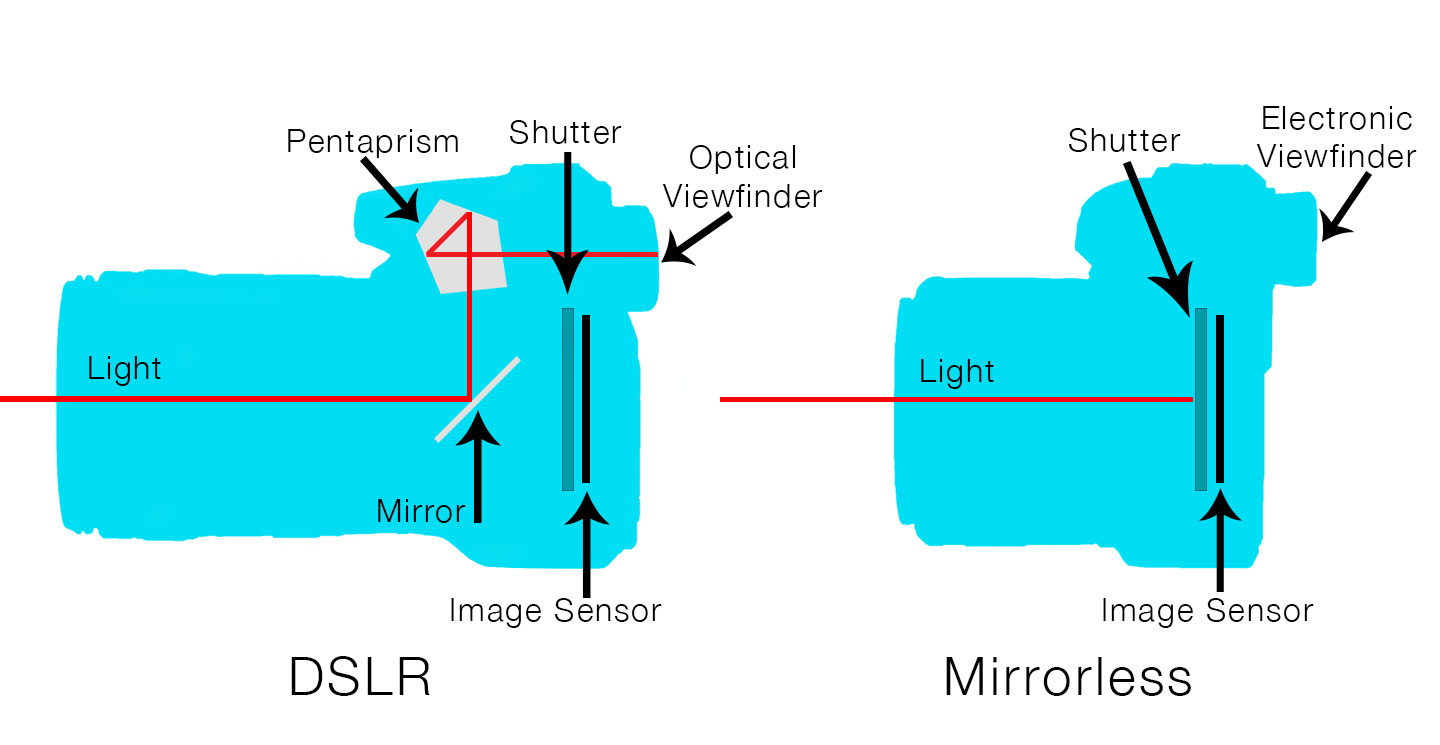 A diagram comparing how the viewfinder works in a DSLR and mirrorless camera and how they both differ.